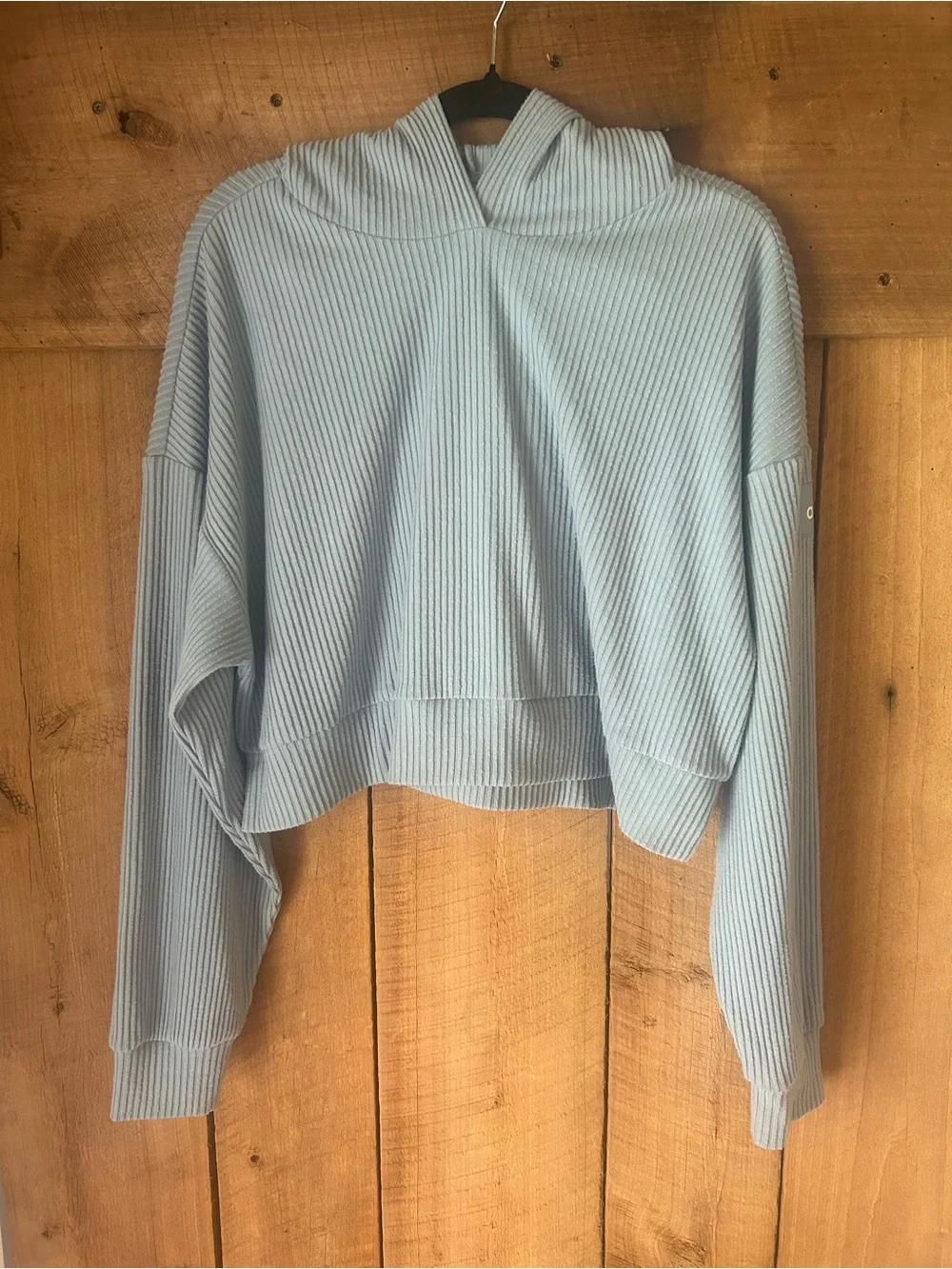 ALO Yoga Pale Blue Cropped Ribbed Hoodie